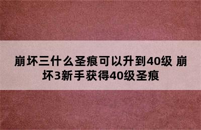 崩坏三什么圣痕可以升到40级 崩坏3新手获得40级圣痕